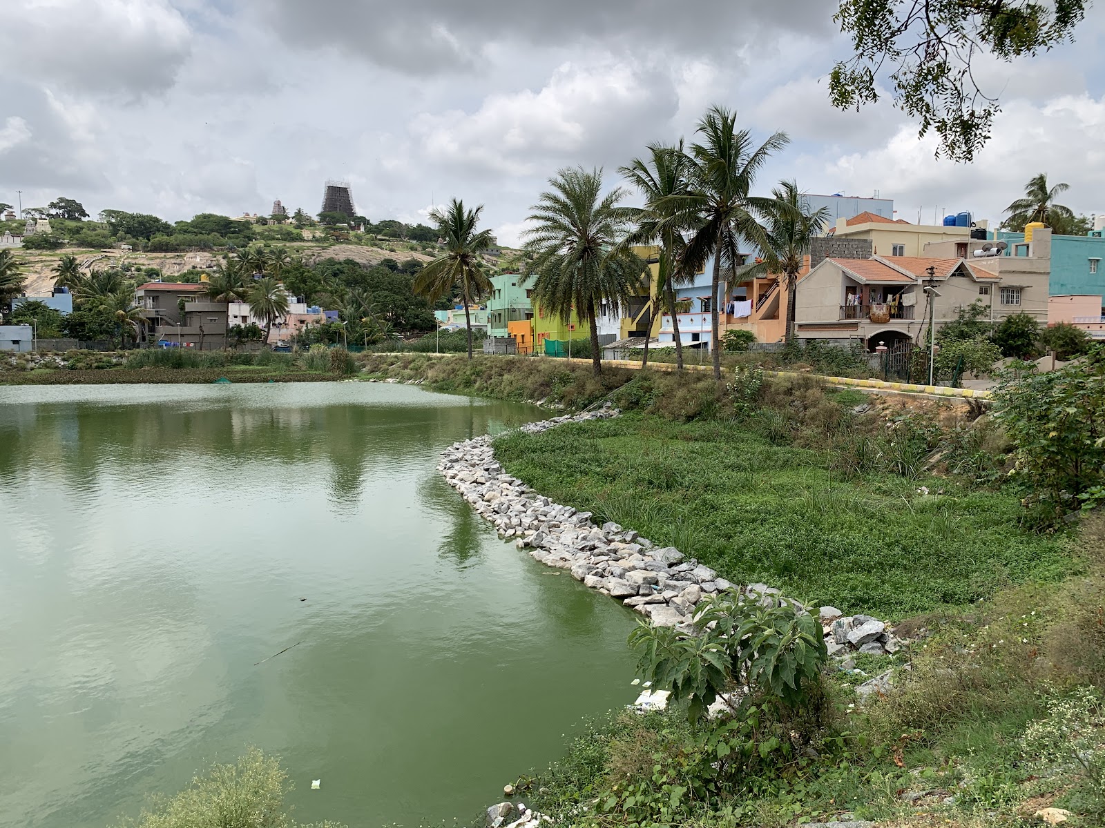 TherPet Lake