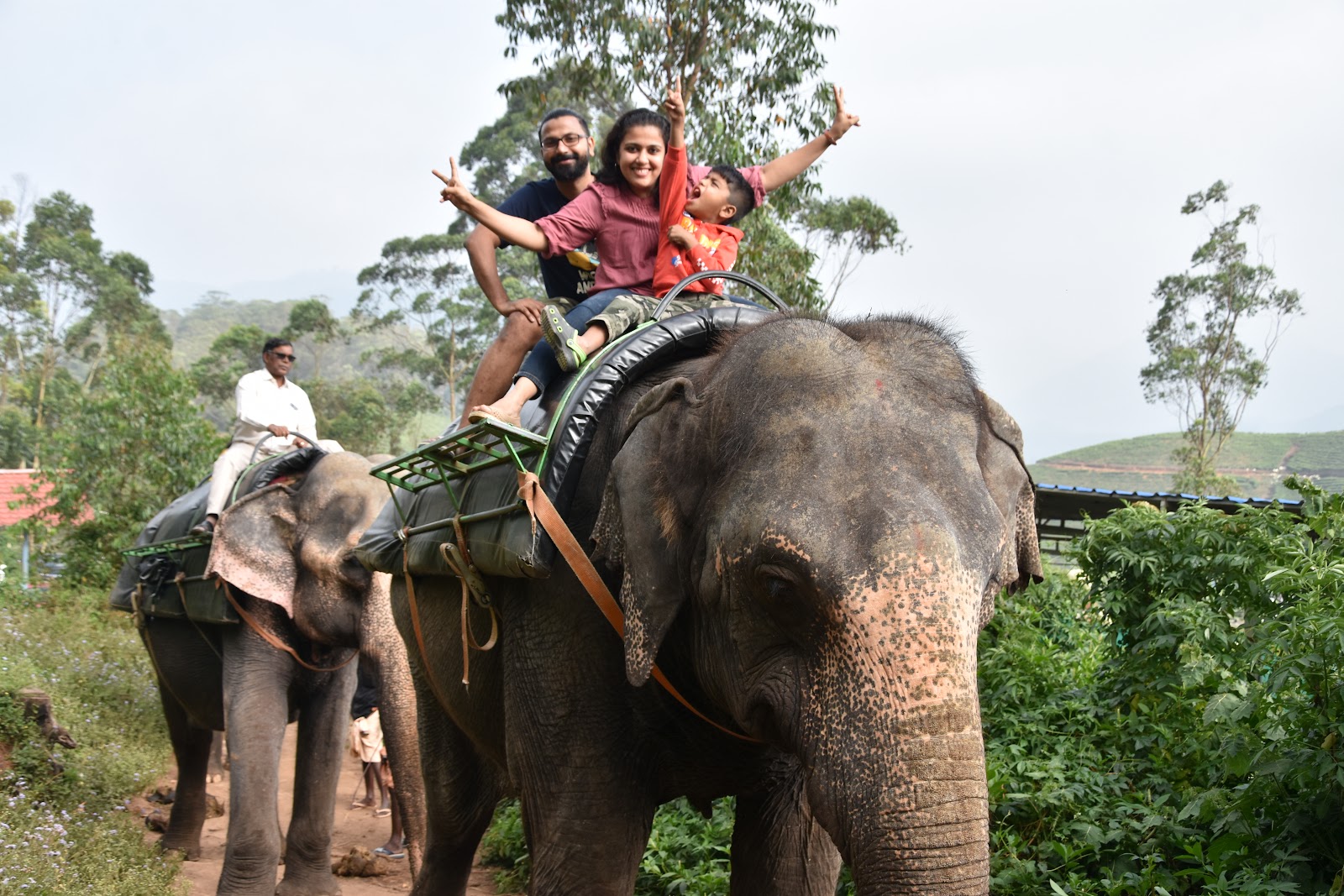 Carmelagiri Elephant Park