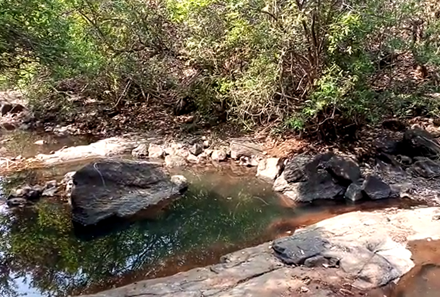 Bhatsa Vally