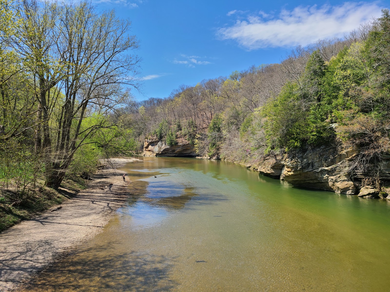 Turkey Run State Park