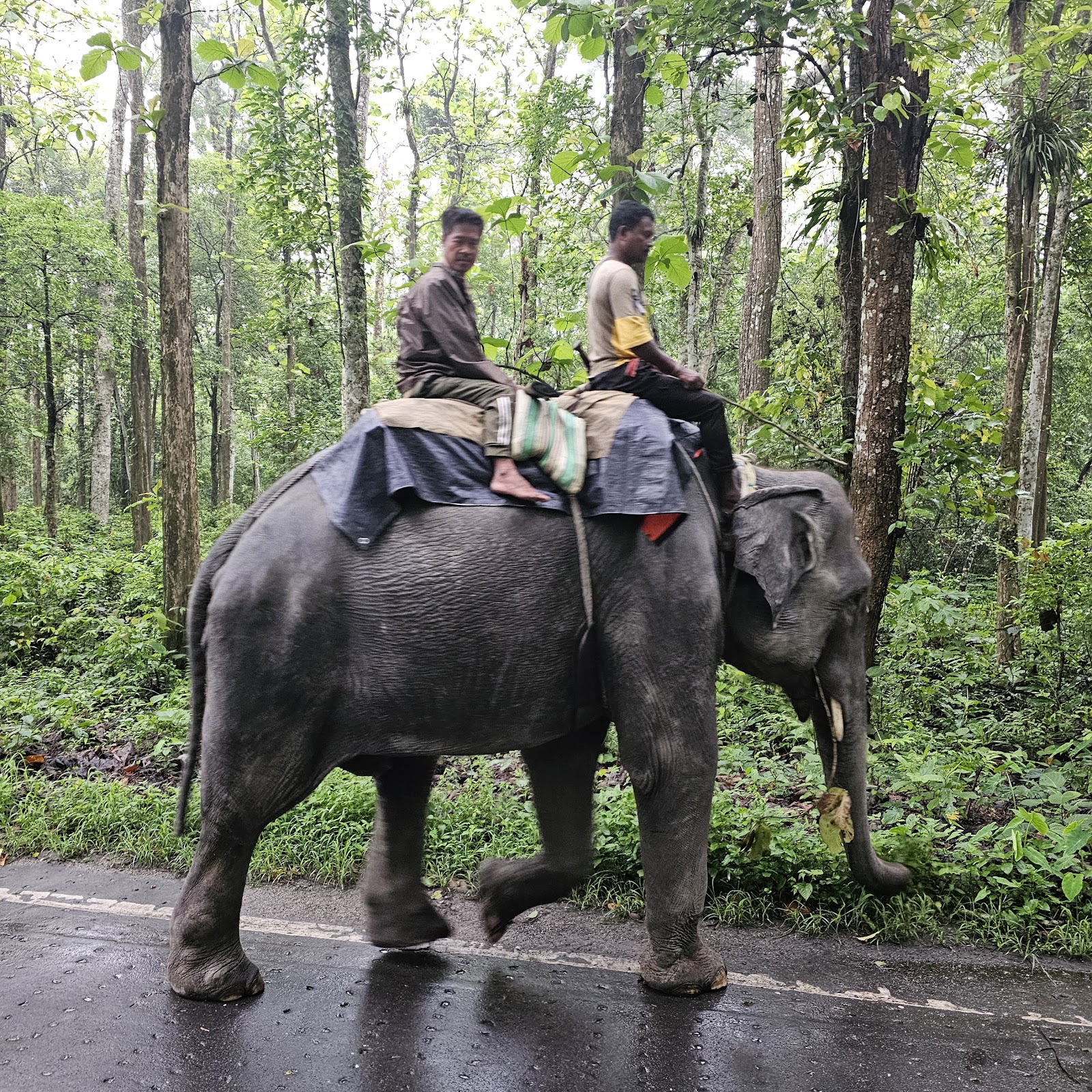 Jaigaon, Alipurduar, India