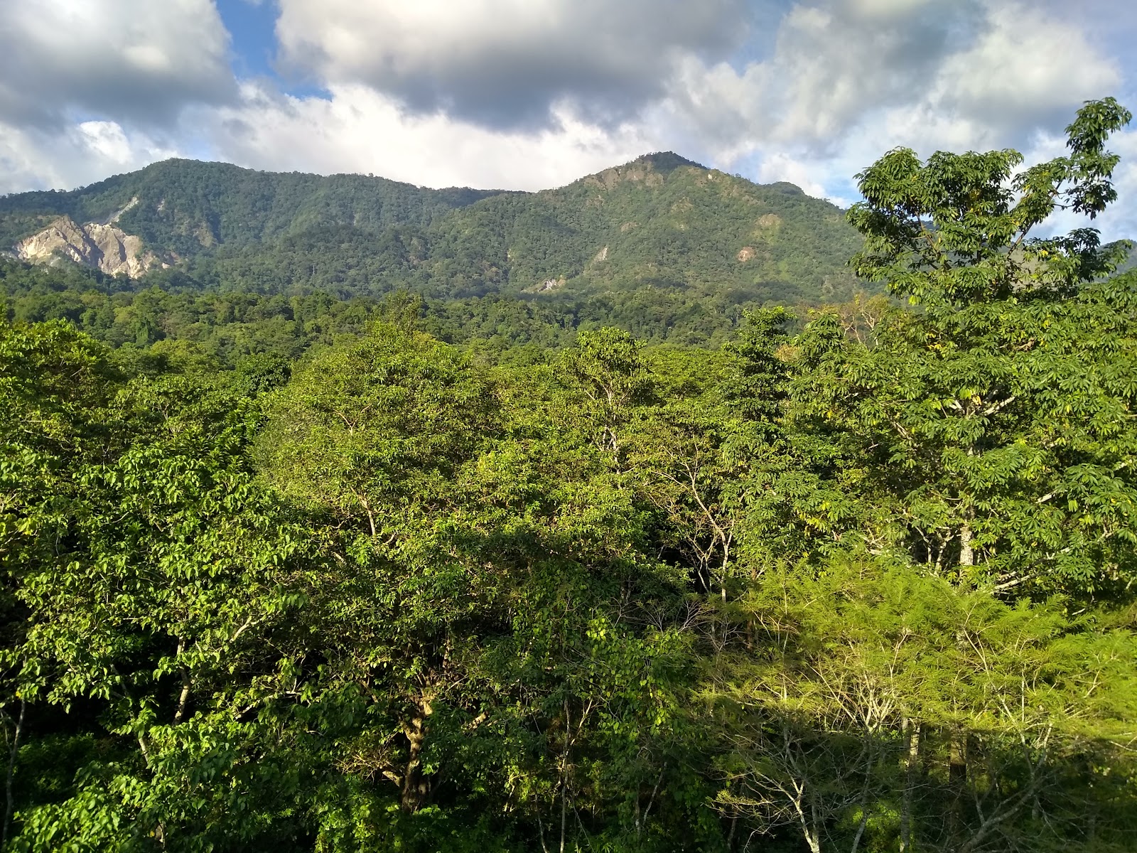 Buxa Tiger Reserve