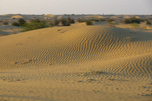 Desert National Park Guide