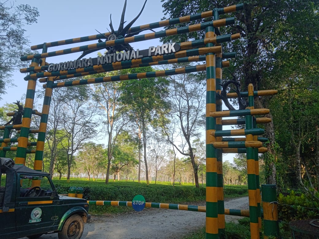 Gorumara National Park