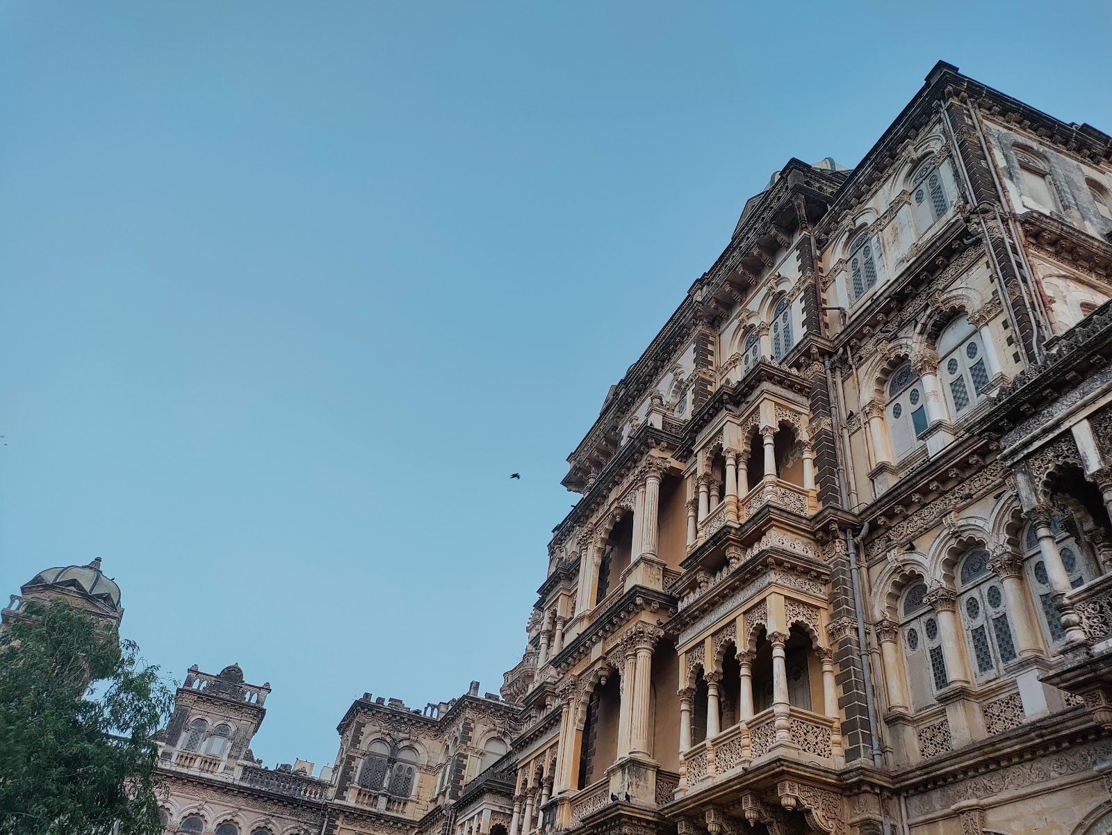Pratap Vilas Palace