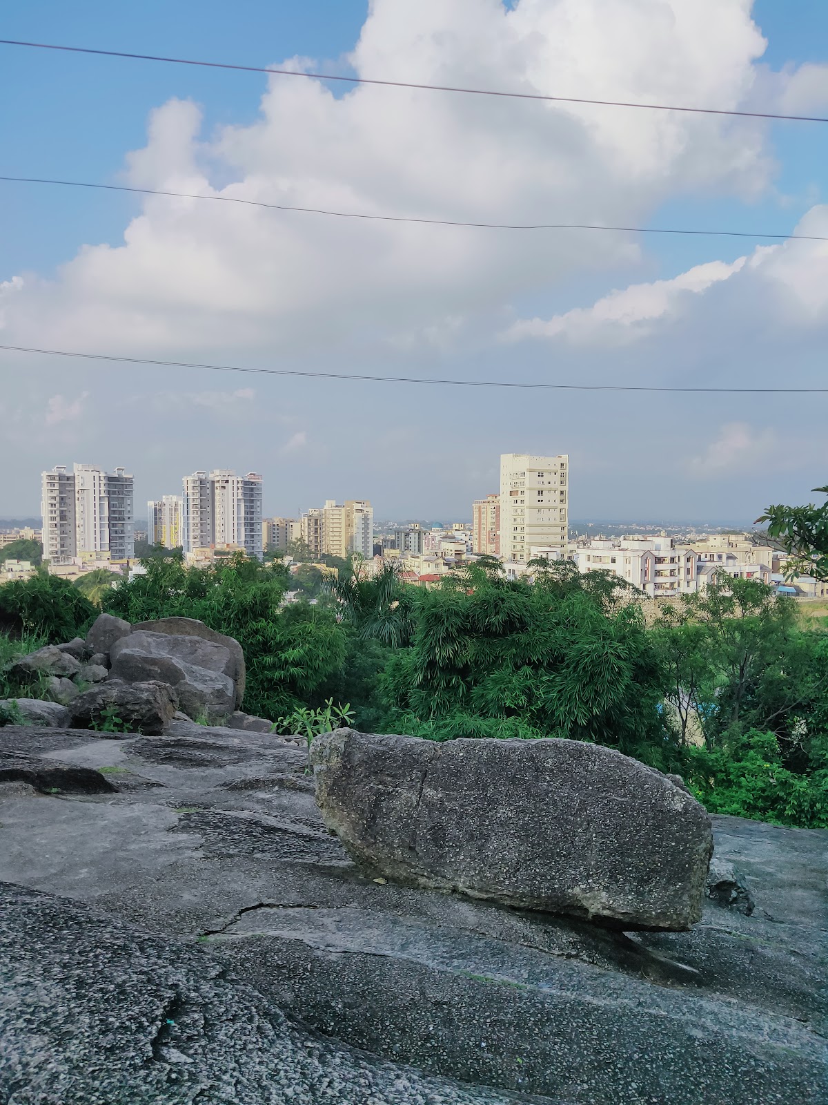 Rock Garden
