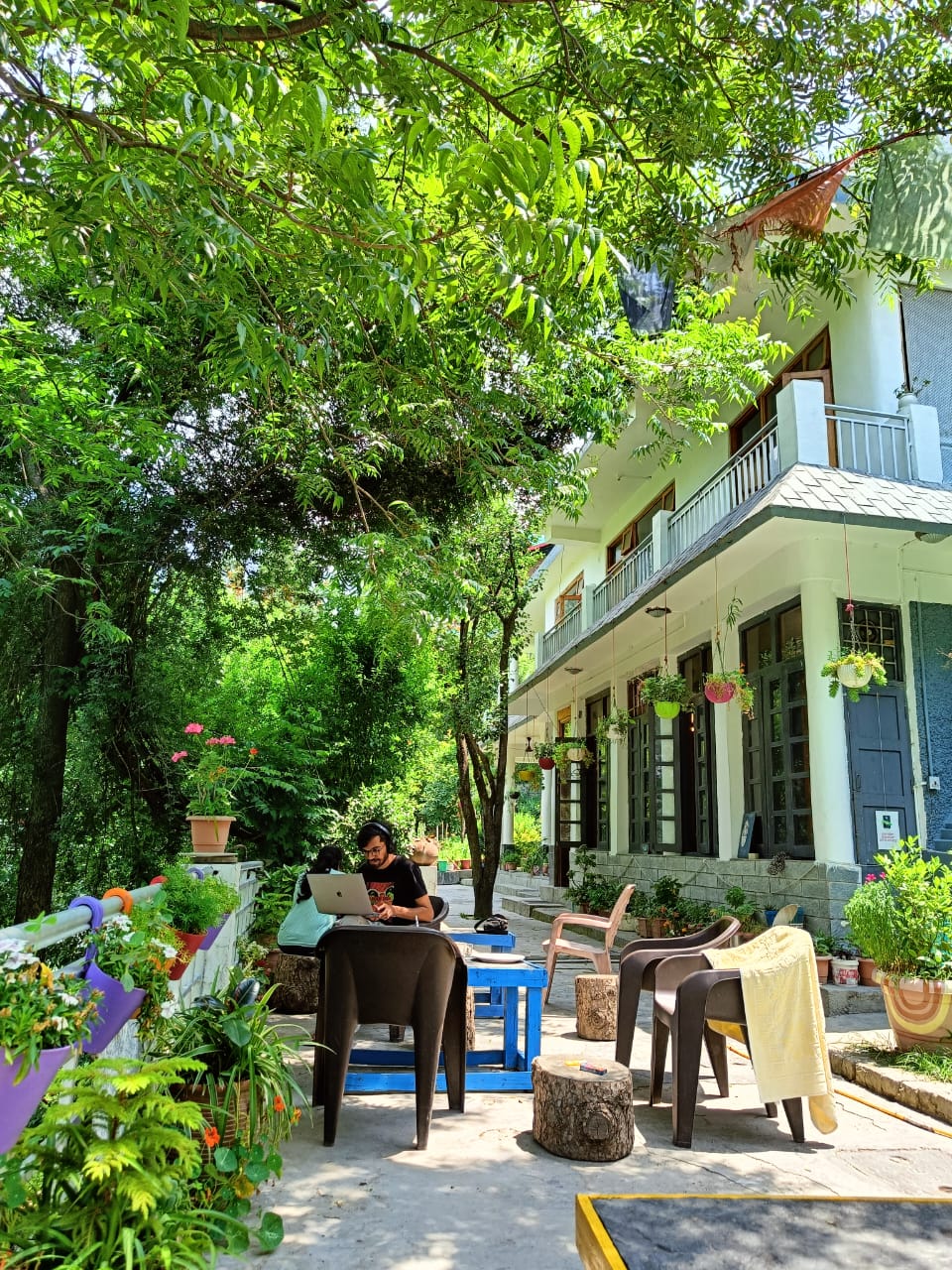 The Blue Sheep Hostel (Tirthan)
