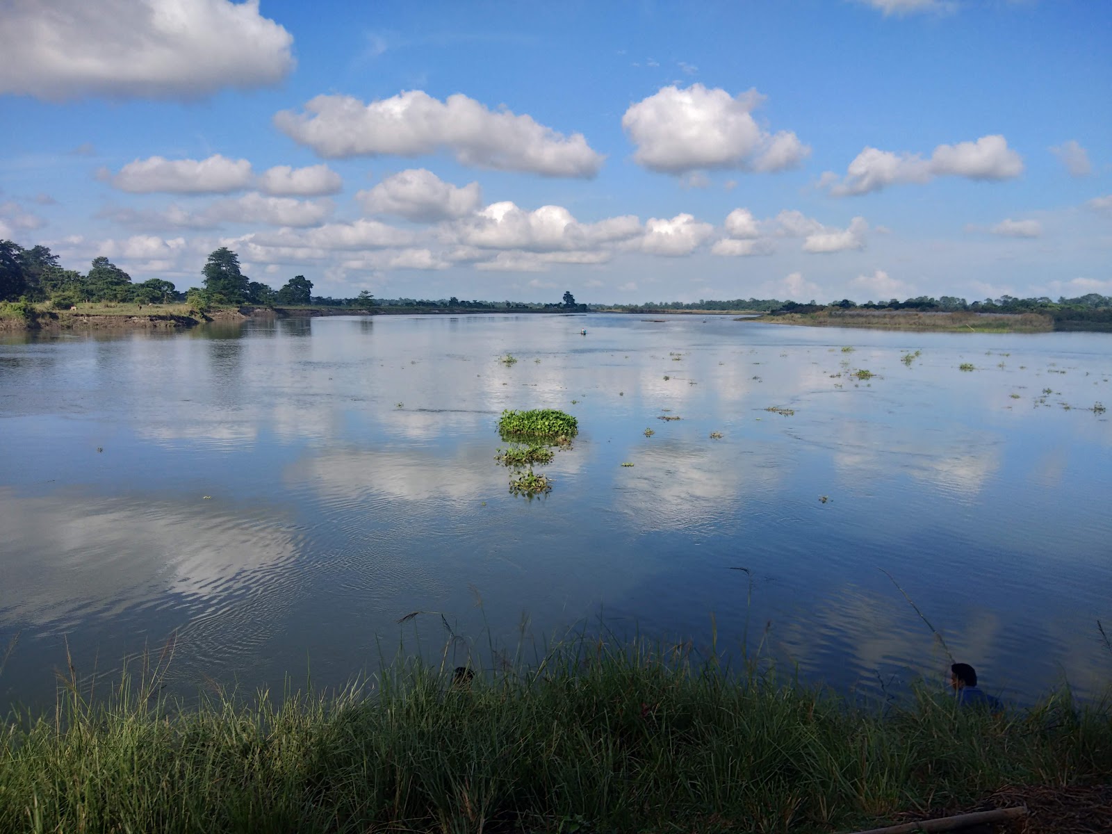 Majuli