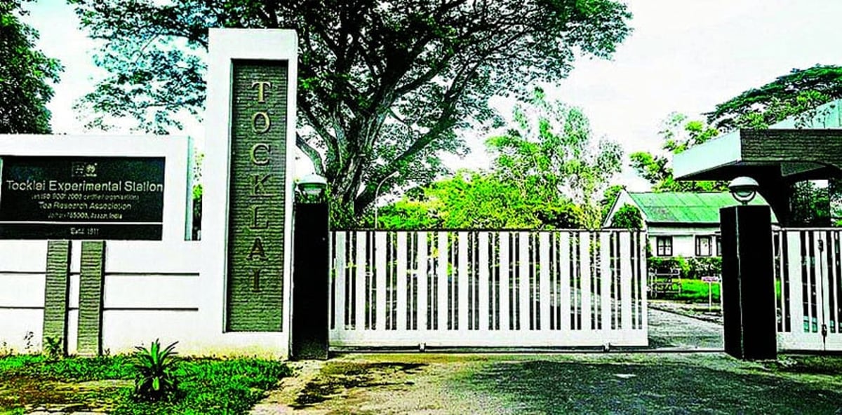 Tocklai Tea Research Institute