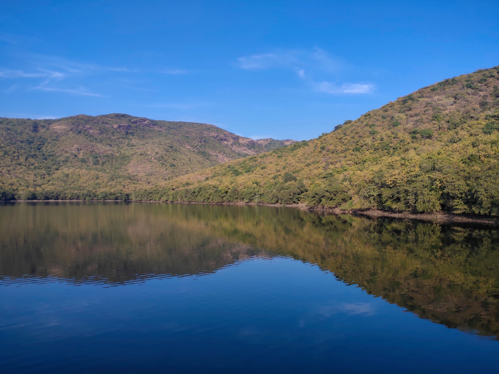 Willingdon Dam