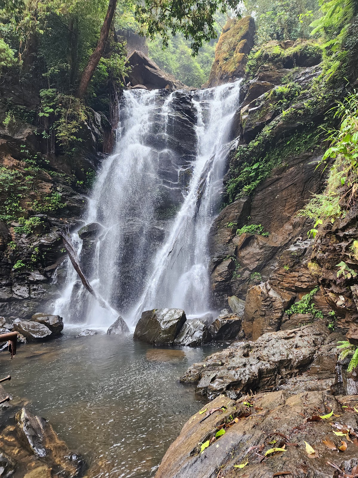 kalasa