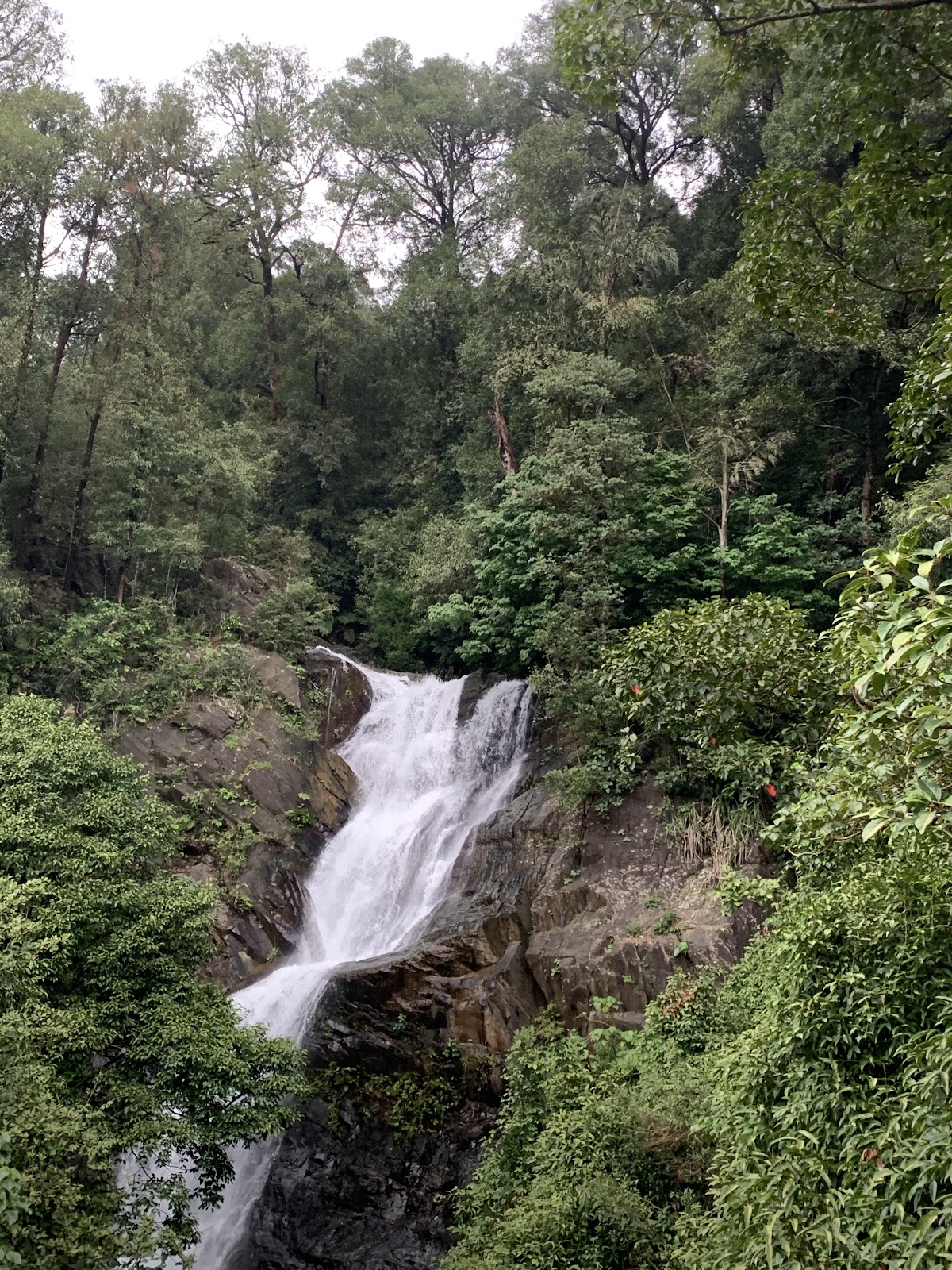 Gangamoola Top Viewpoint ಗಂಗಾಮಖಲದ ವಿಹಂಗಮ