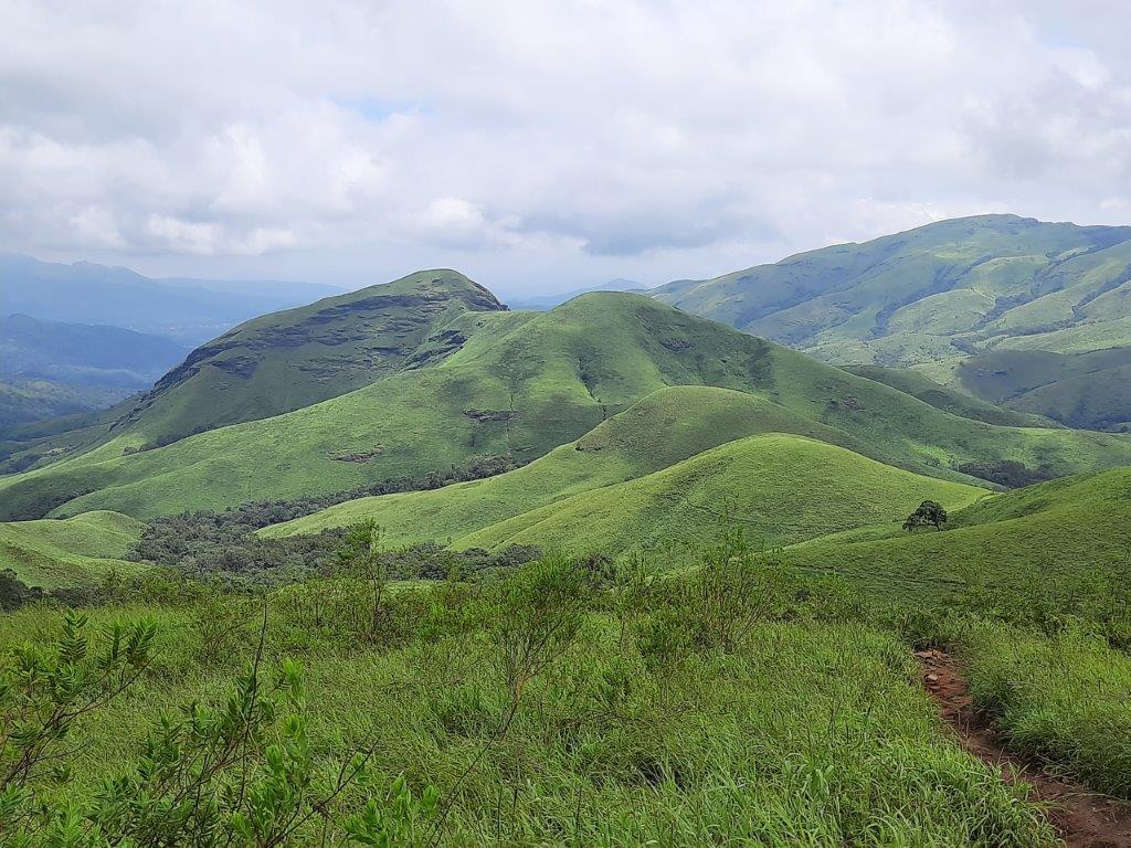 Kudremukha National Park