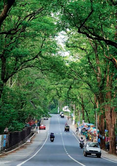 Nilambur