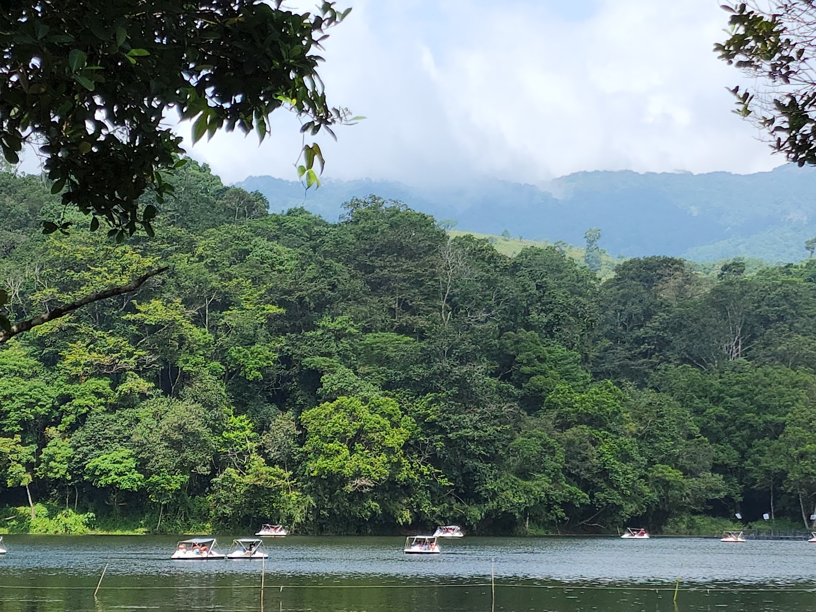Pookode Lake