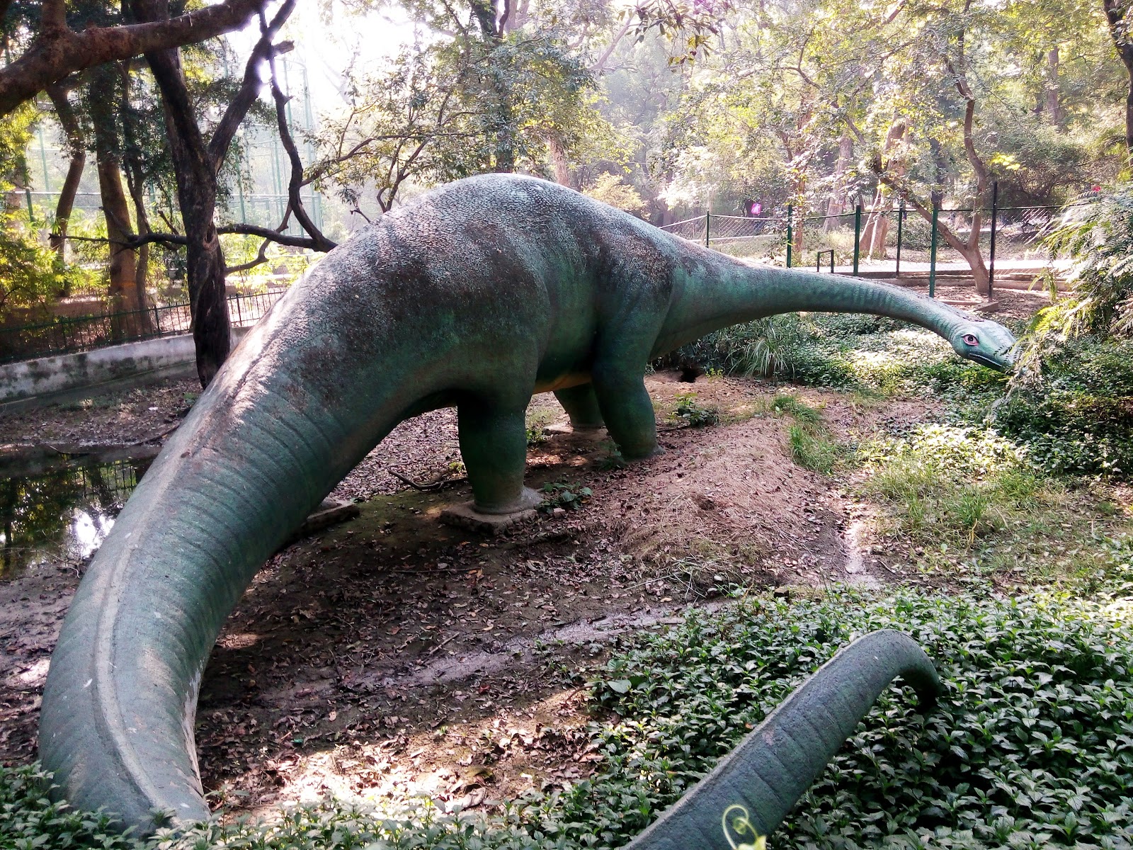 Kanpur Zoological Park