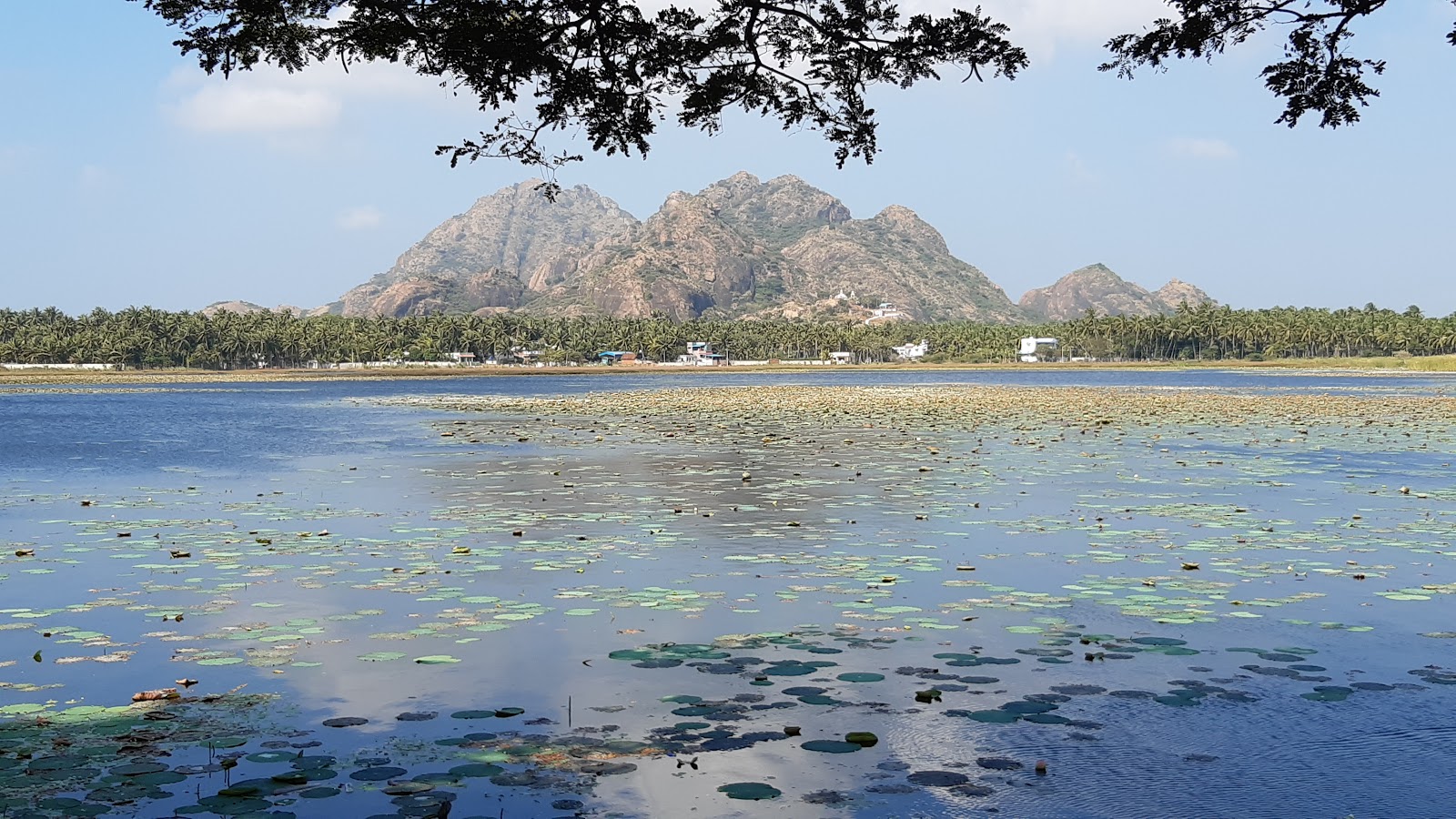 Azhagappapuram