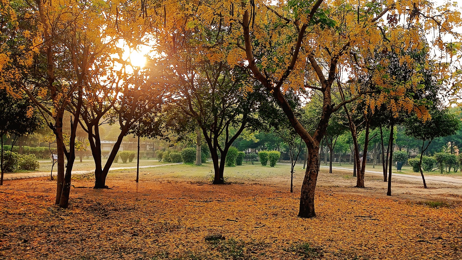 Atal Park
