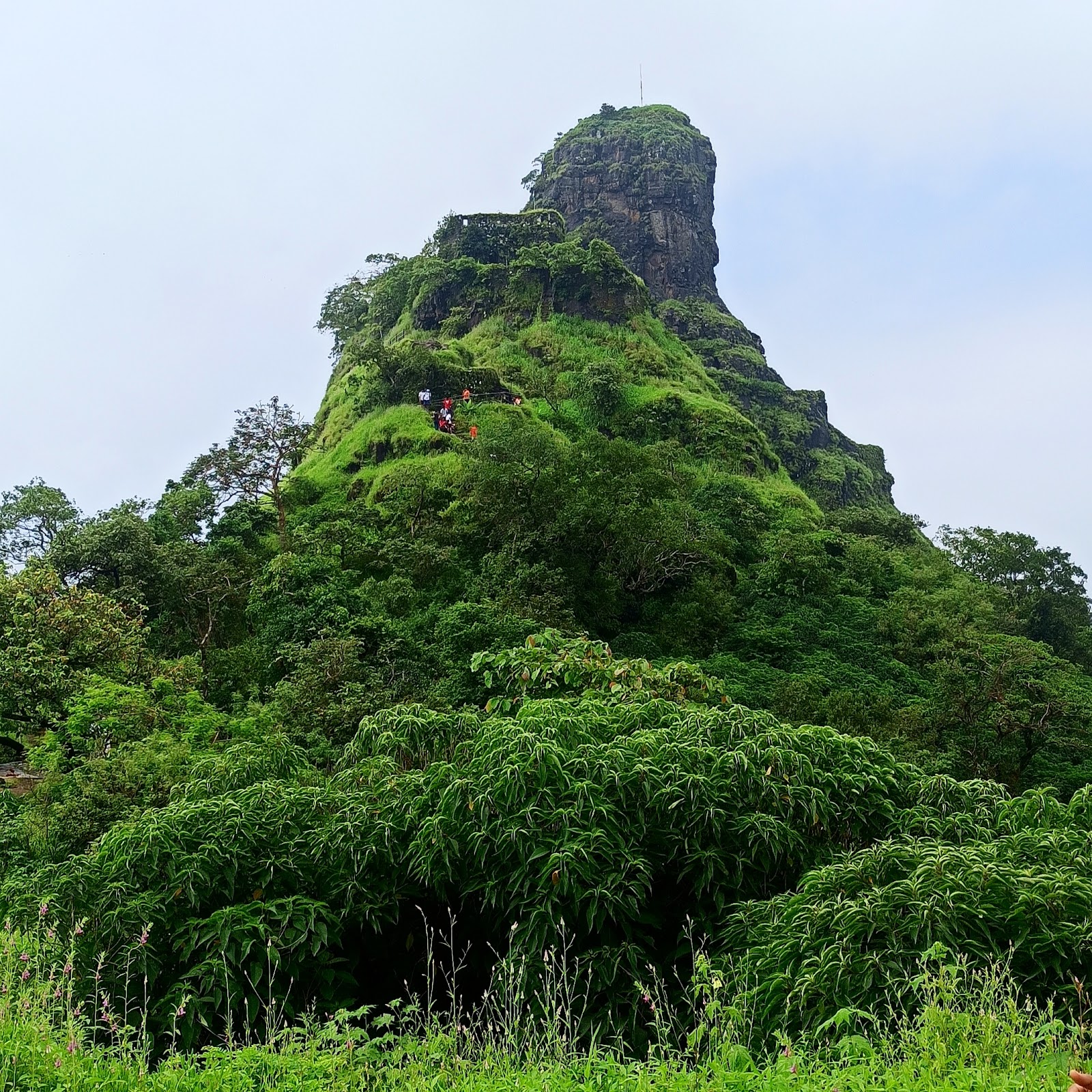 karnala fort