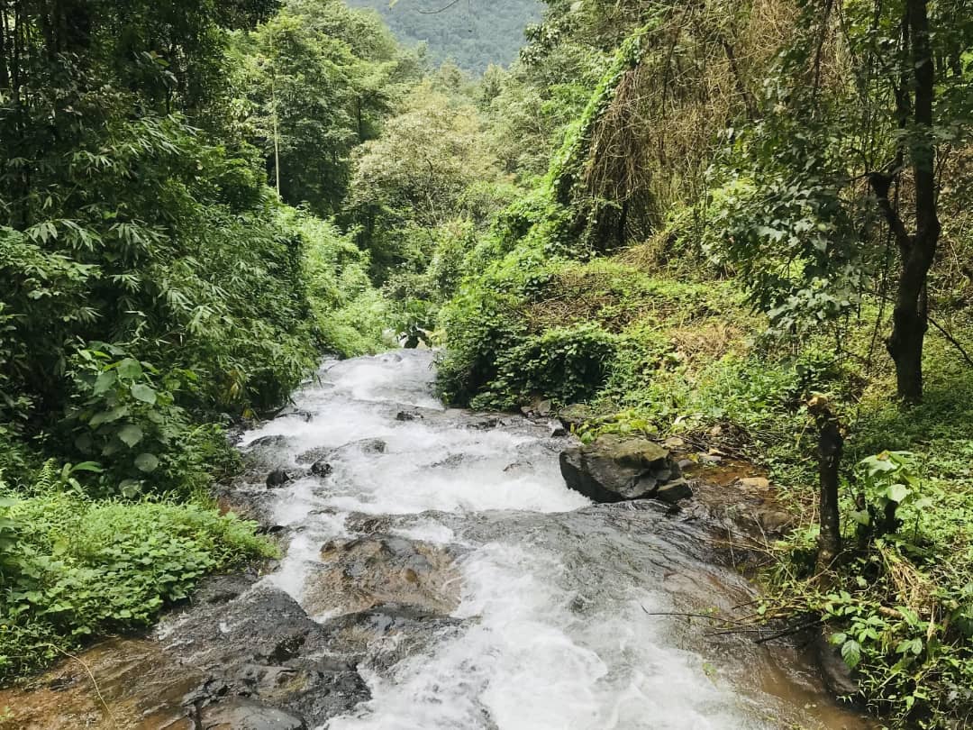 Achankallu Waterfalls, Konnakkad
