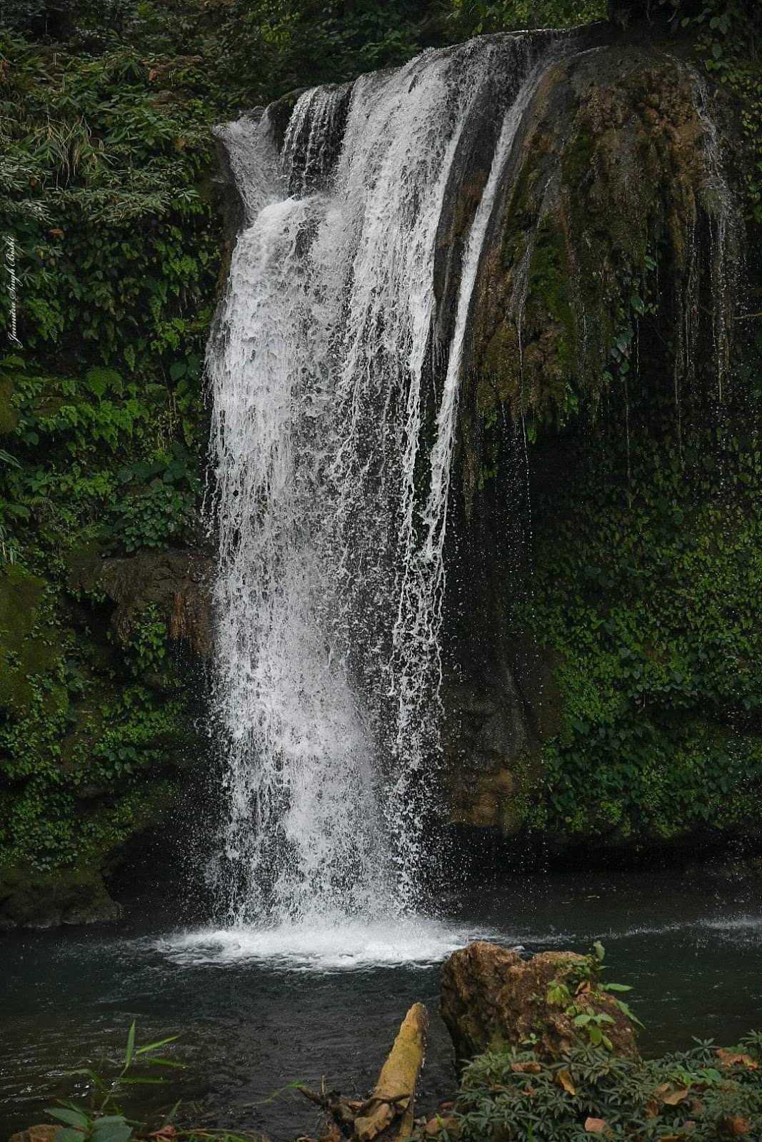 Kaladhungi