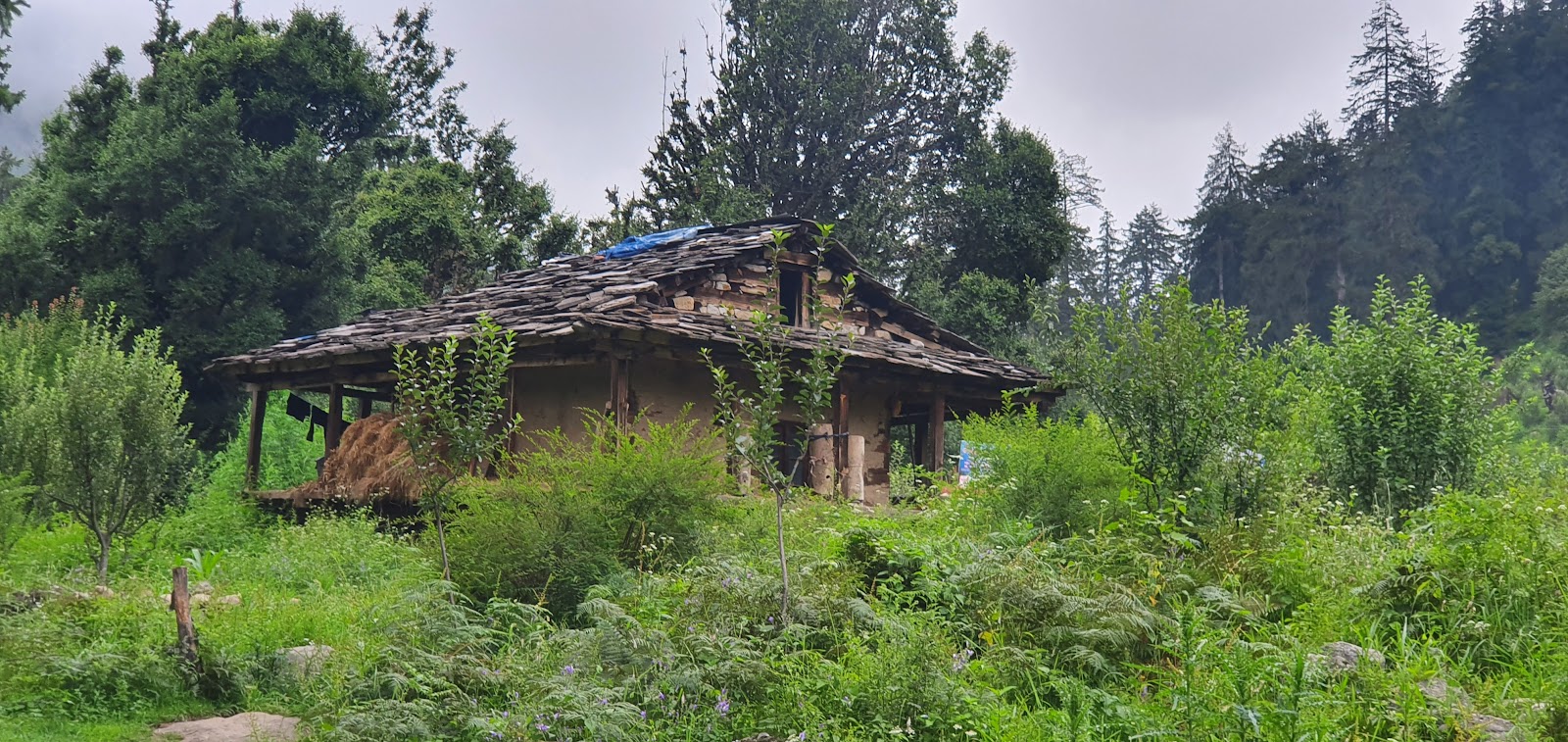 Dhar Kalga Patan