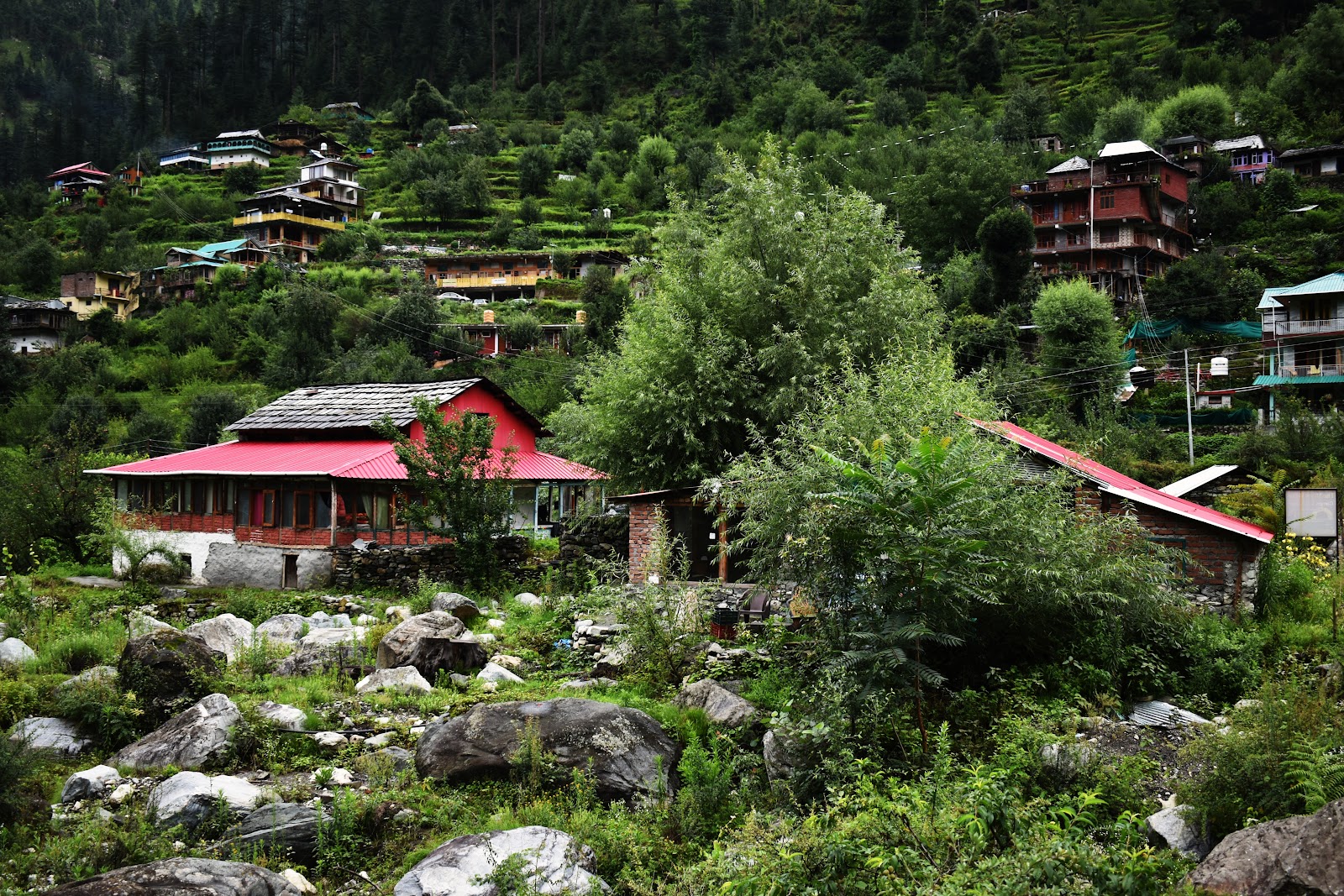 Jibhi