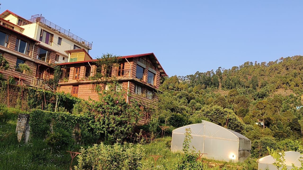 The Buransh