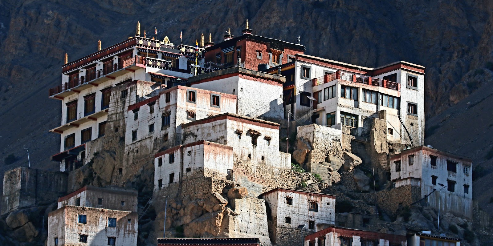 Spiti Village Resort