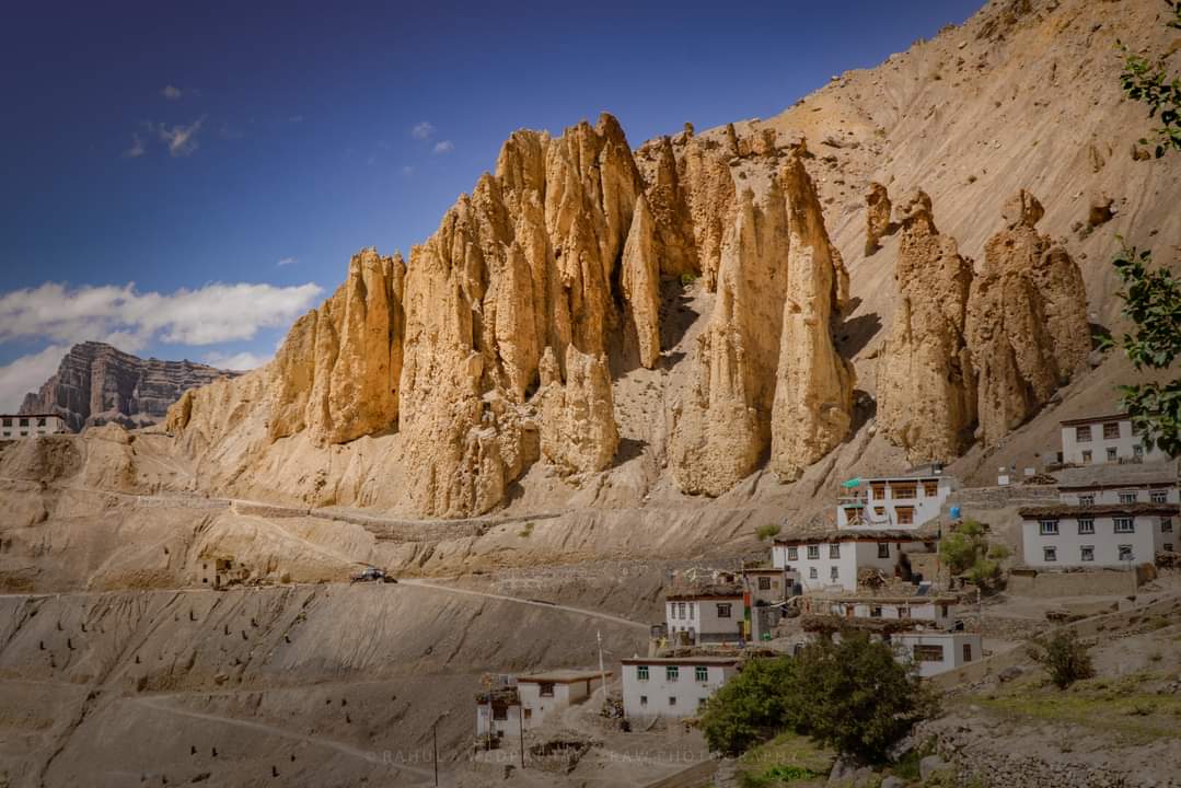 Dhankhar