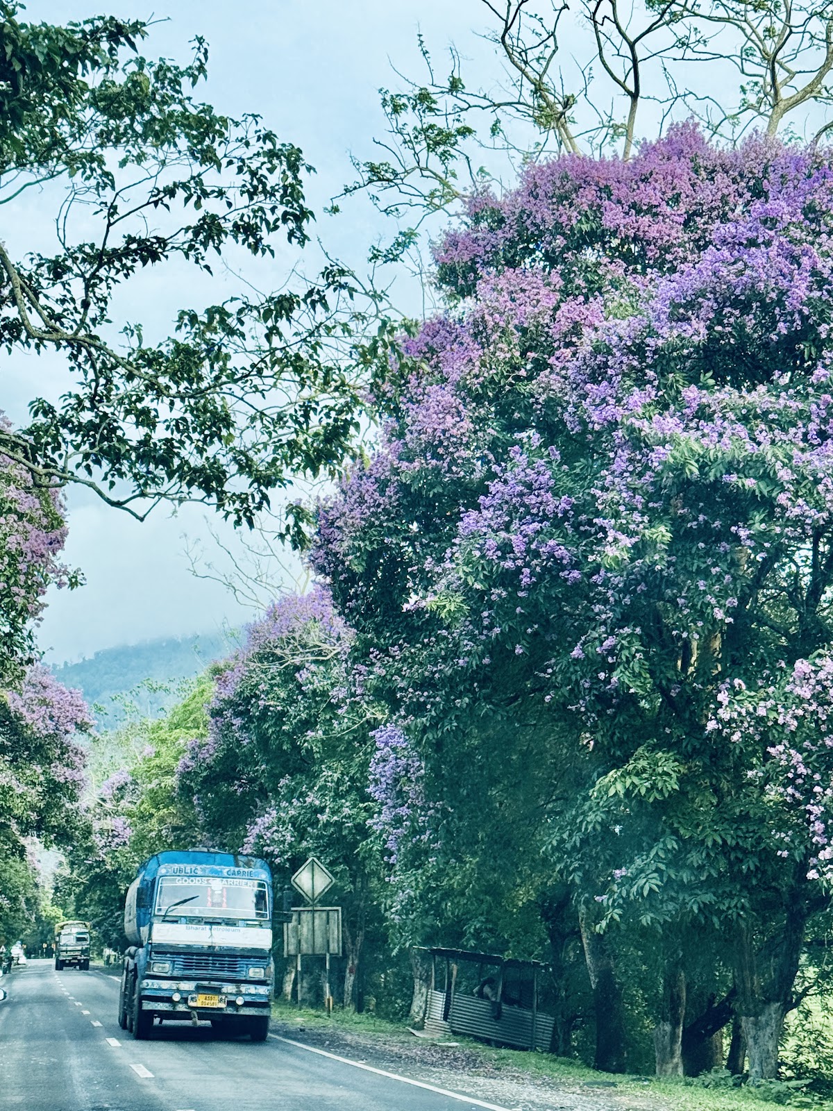Kaziranga kohora range