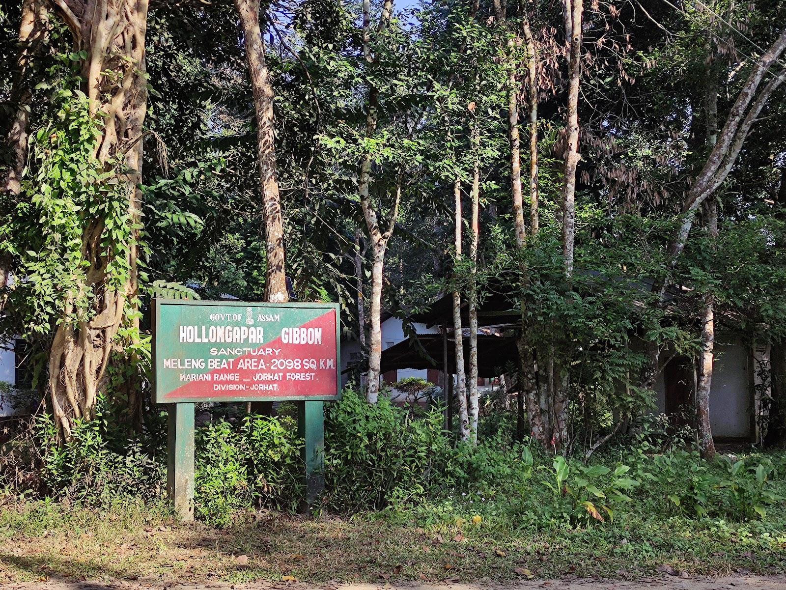 Hollongapar Gibbon Sanctuary