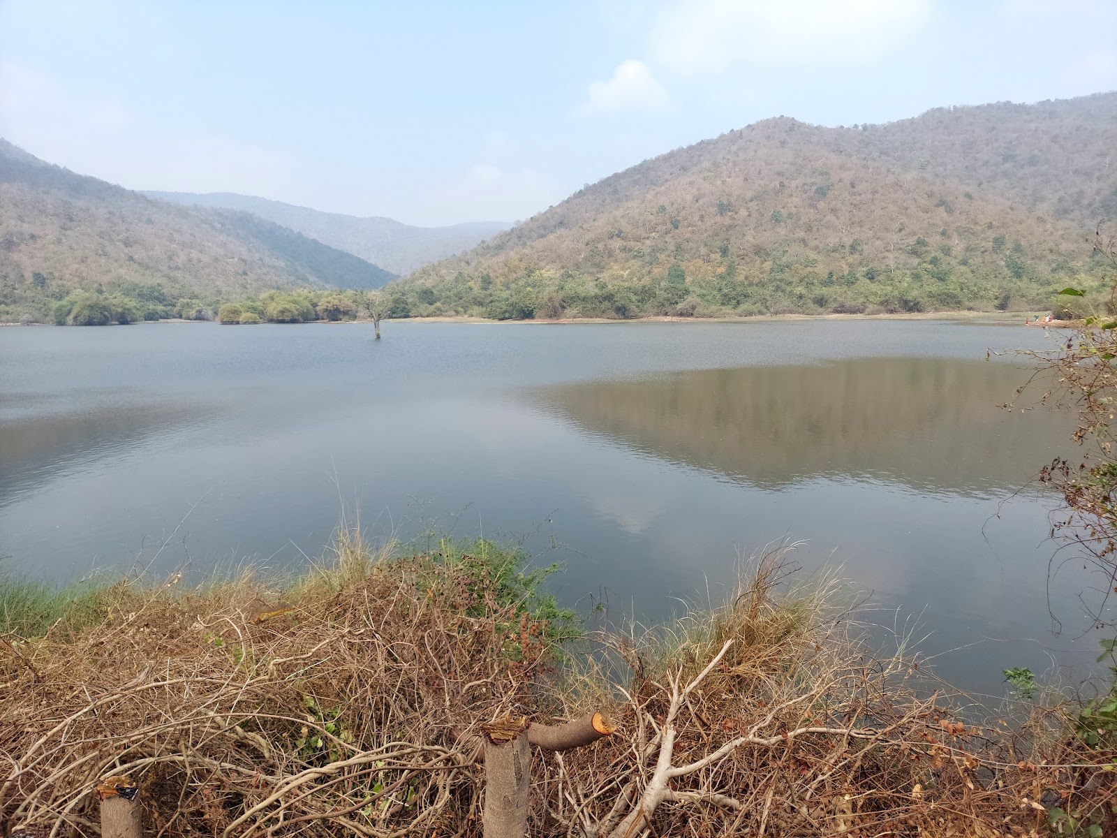 PULI GUNDALA CHERUVU