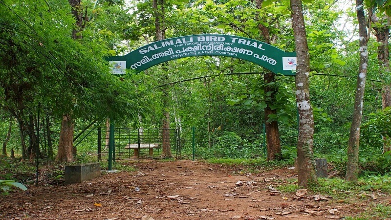 Thattekad Bird Sanctuary