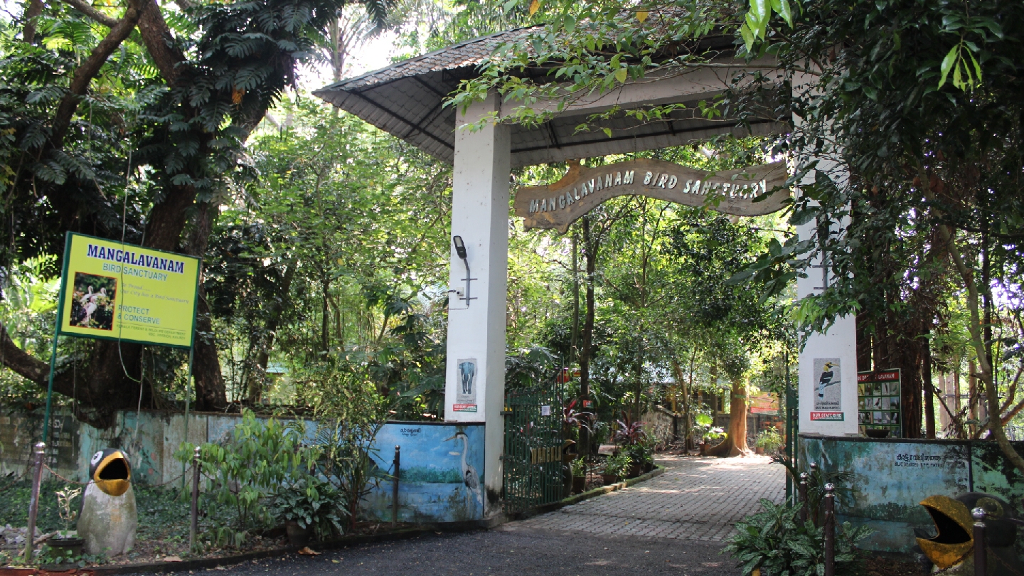 Mangalavanam Bird Sanctuary