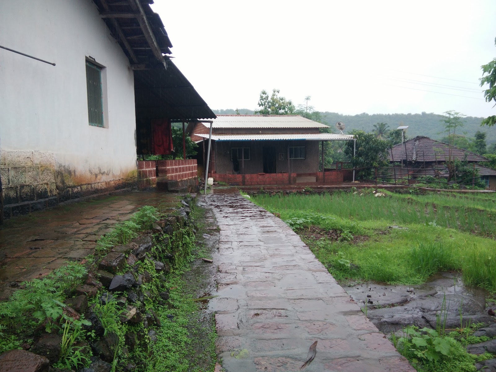 Sutarwadi