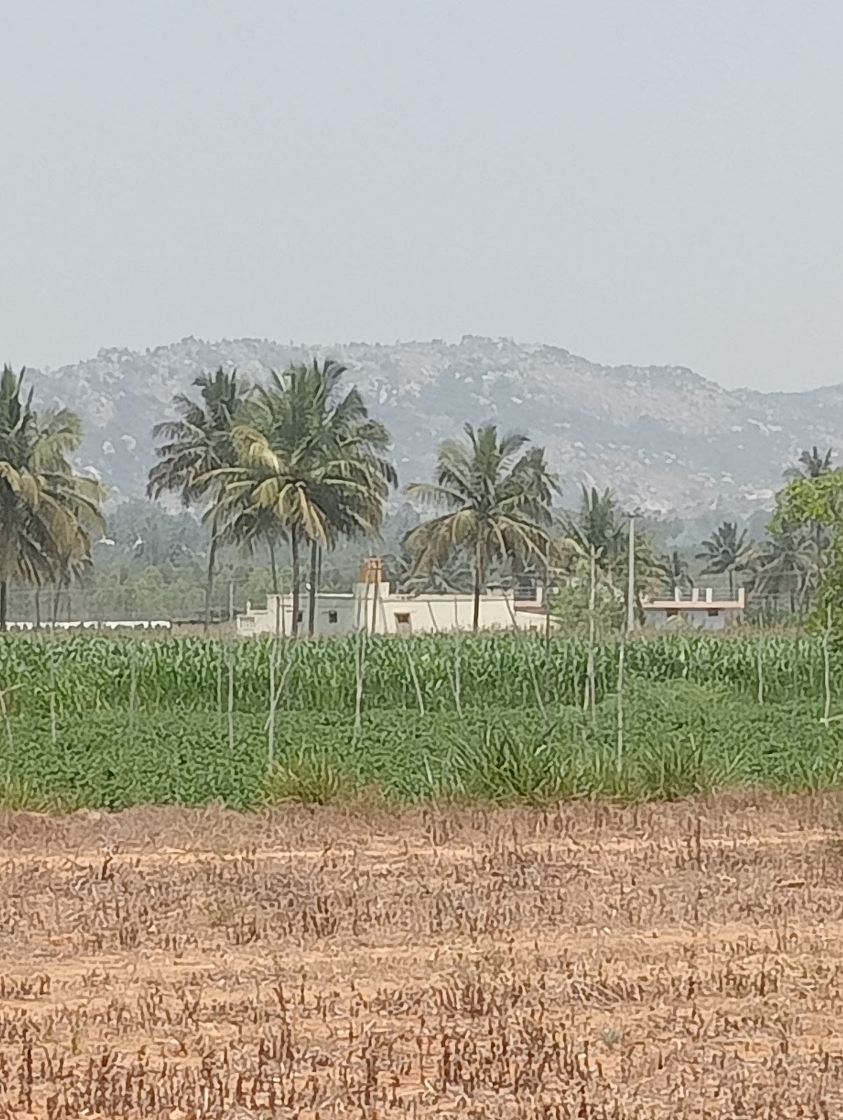 Shri Shanthi Sagar