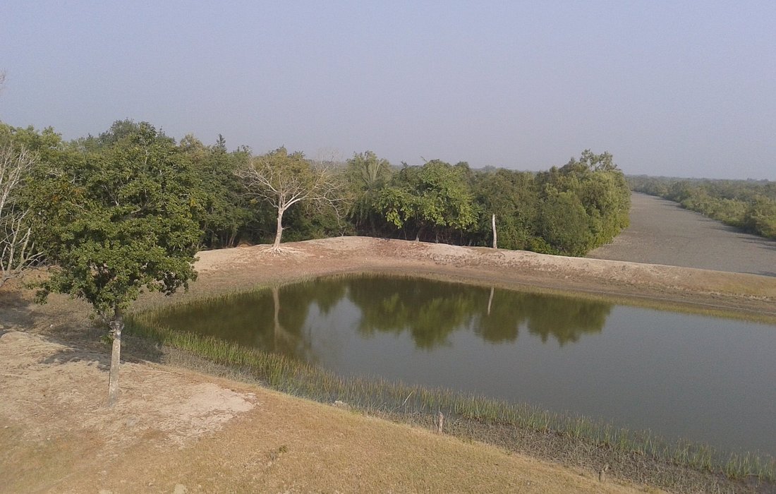 Sundarban National Park (West Bengal)