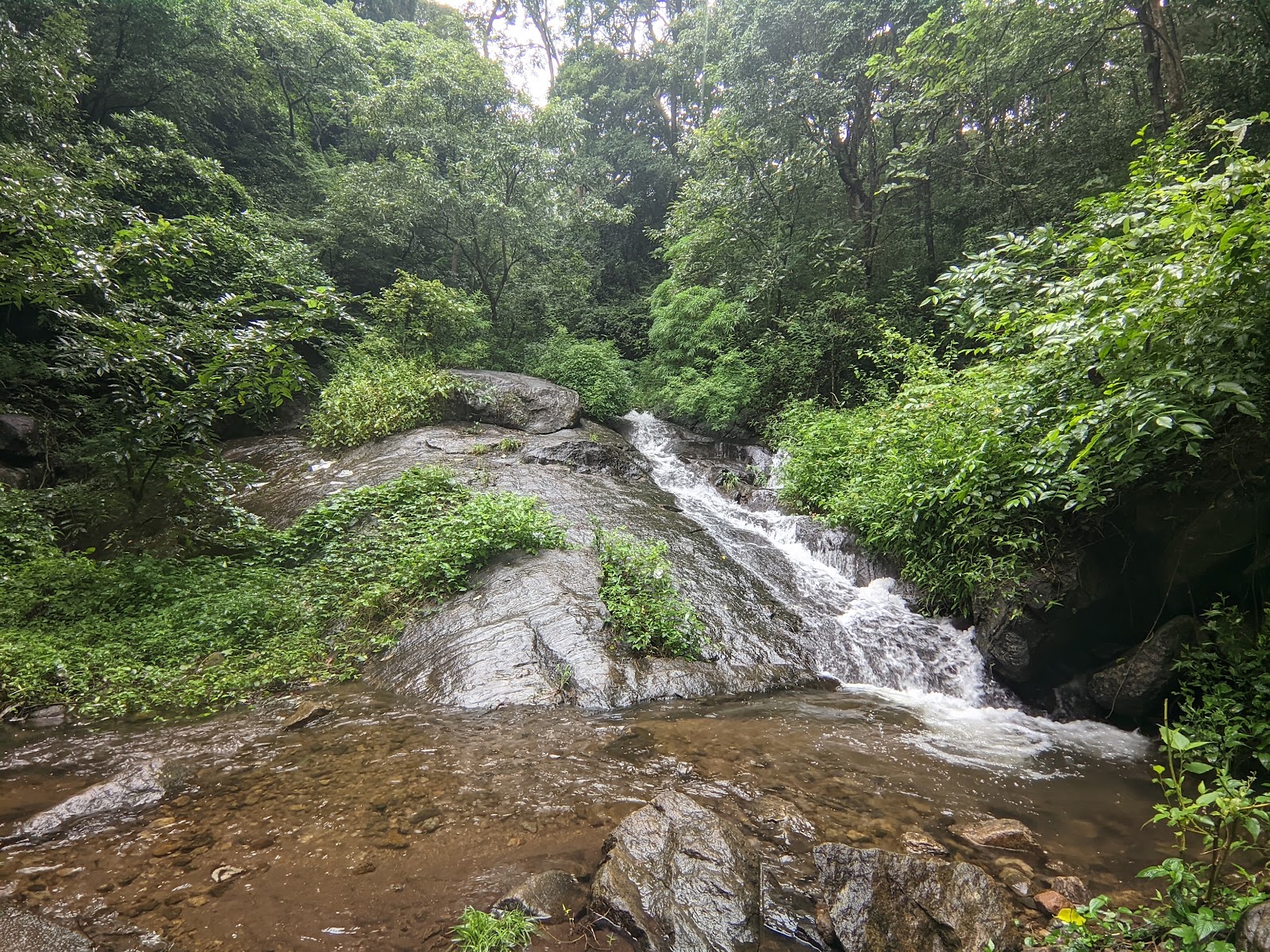 Aryankavu