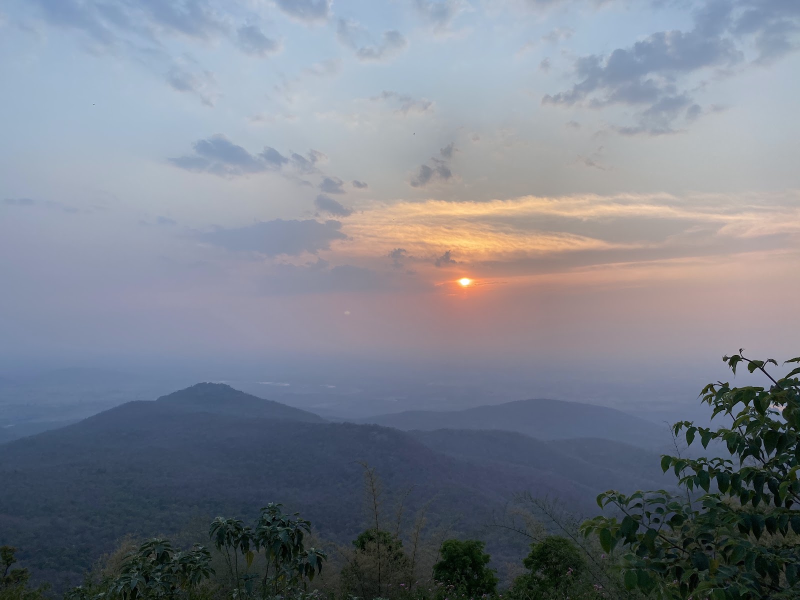 Biligiri Rangana Betta, Karnataka