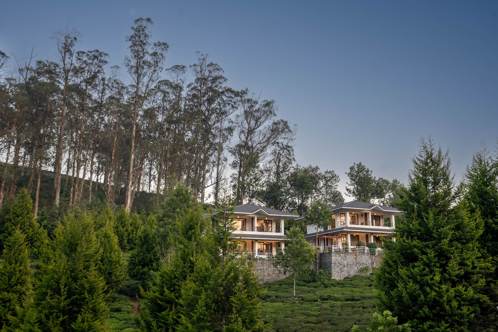 Green Nest Resort