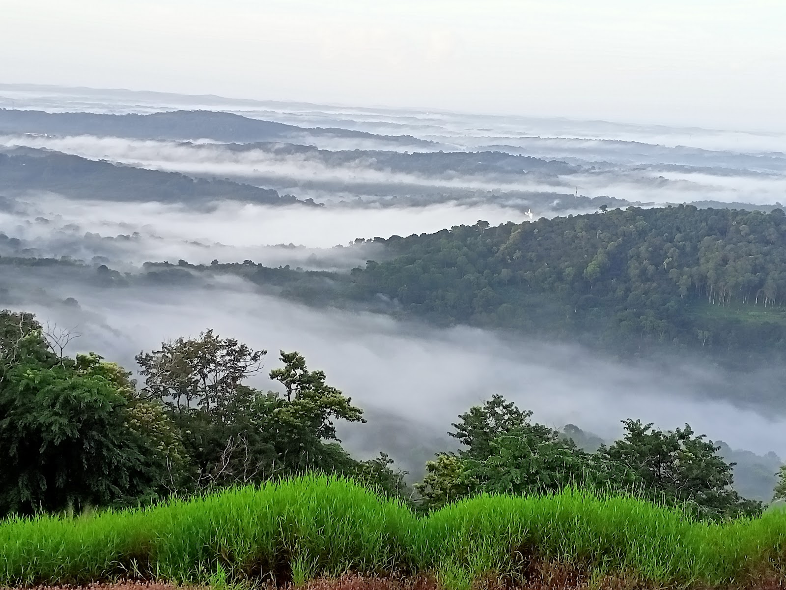 Nadukani View Point, Kayyoor