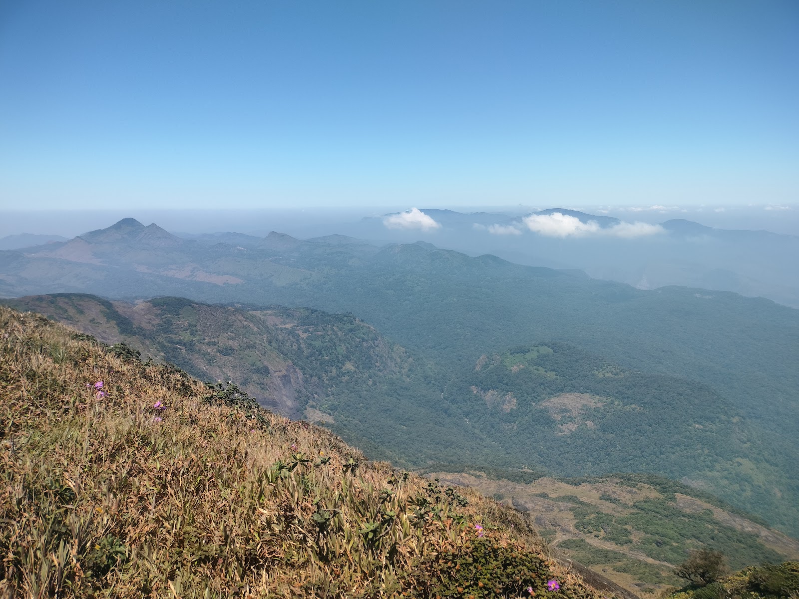 Agasthyamalai