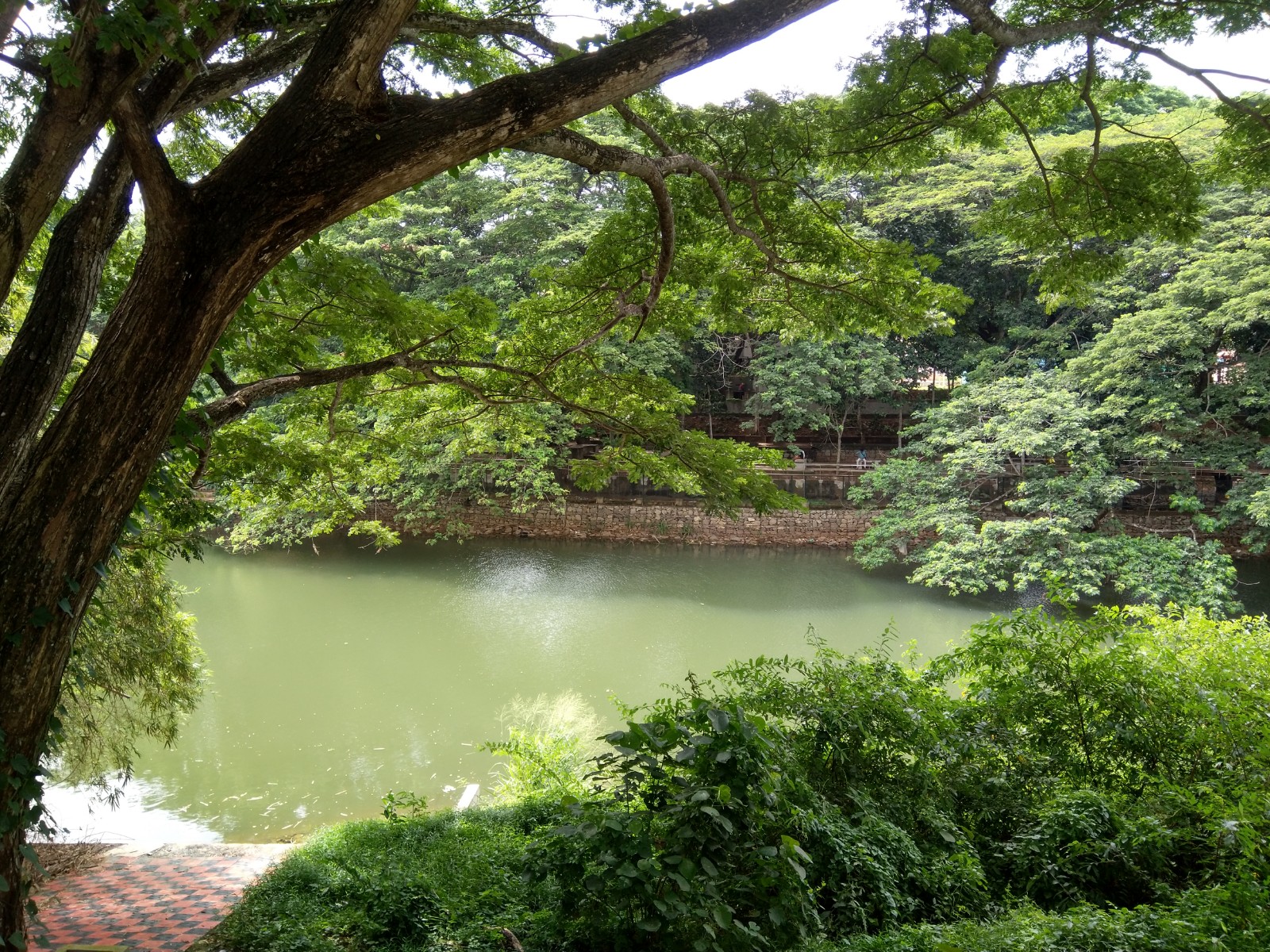 Karamana River