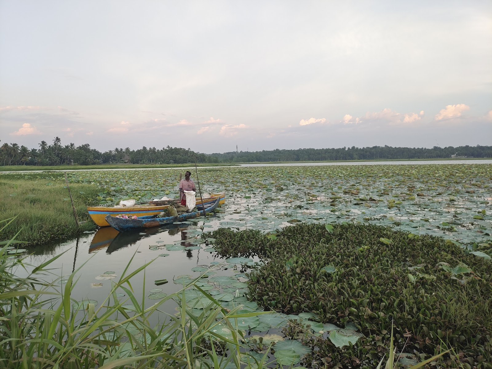 Vellayani Lake