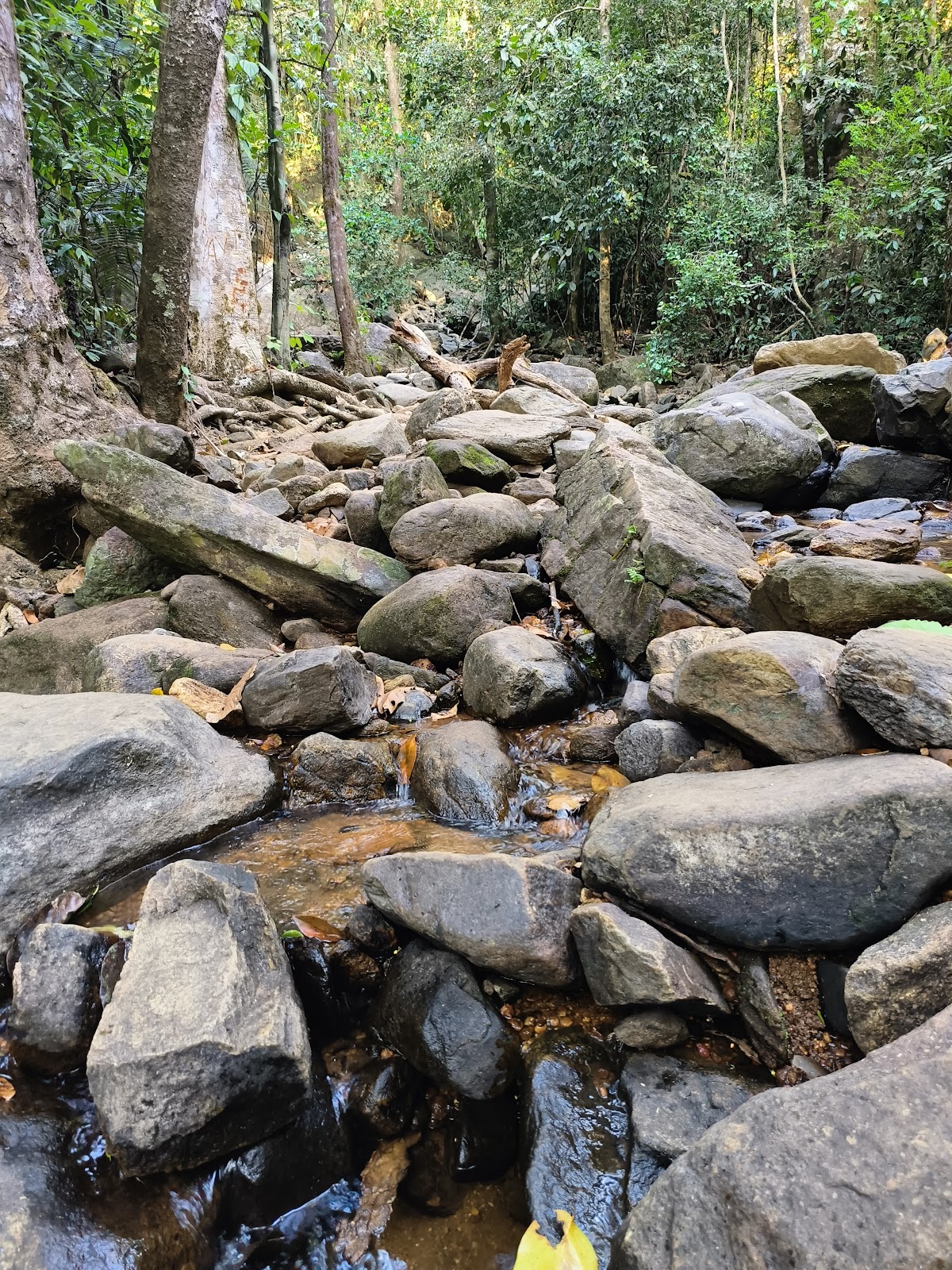 Kumaraparvatha Falls