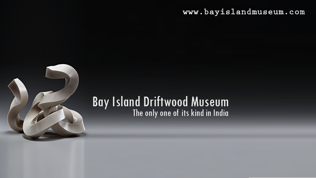 Bay Island Driftwood Museum