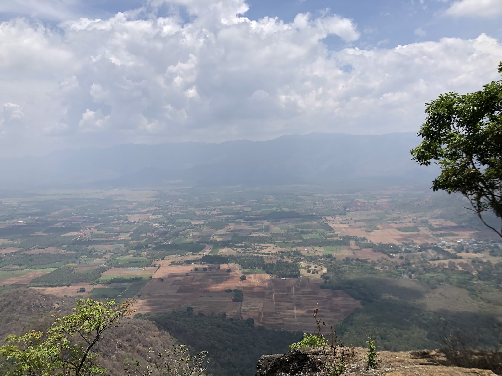 Pandikuzhi Viewpoint