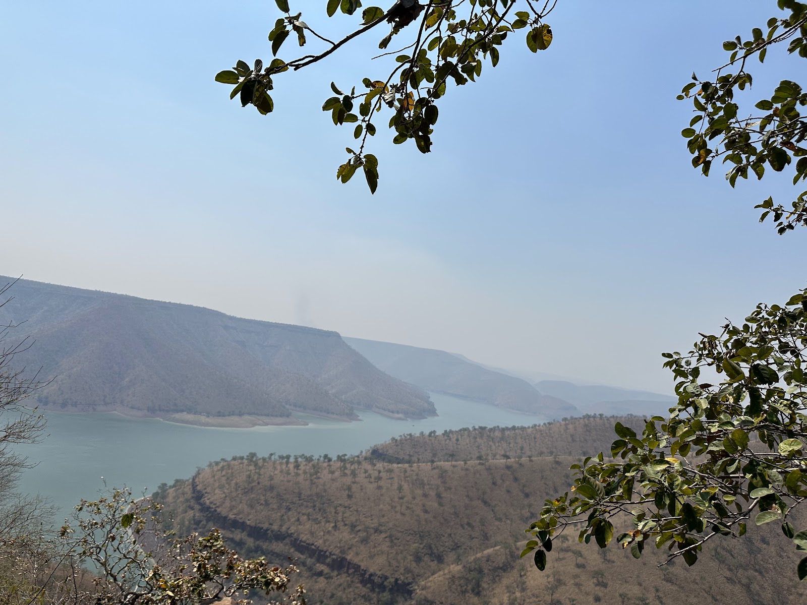 Nallamala Forest