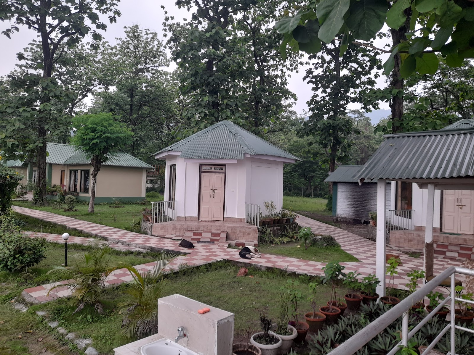Mongpong